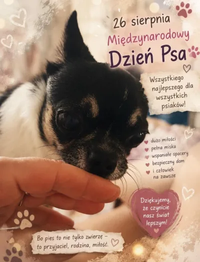 Międzynarodowy Dzień Psa – 26 sierpnia