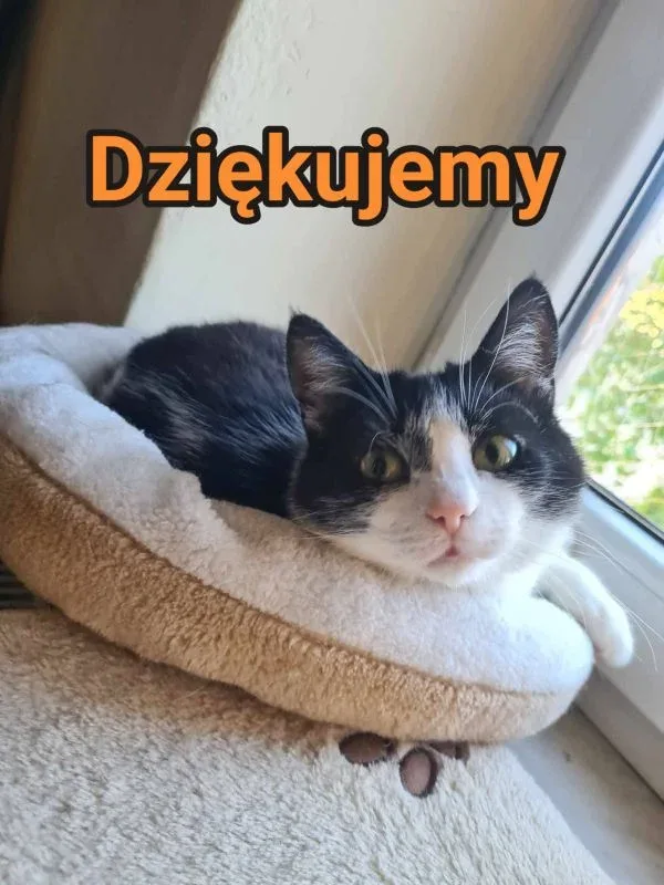 Podziękowania dla darczyńców za wsparcie finansowe