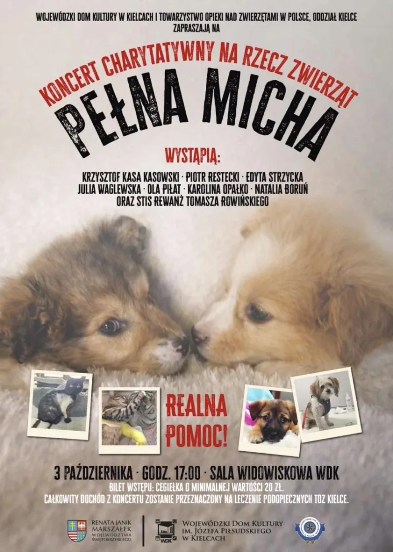 Akcja Pełna Micha w Kielcach