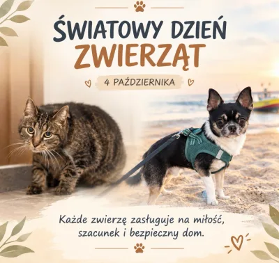 Światowy Dzień Zwierząt 2026