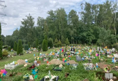 Dzień Pamięci o Zmarłych Zwierzętach